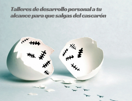 Miércoles de talleres en Viventi