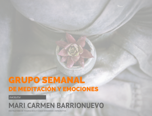 Cinco beneficios de la meditación probados por la ciencia